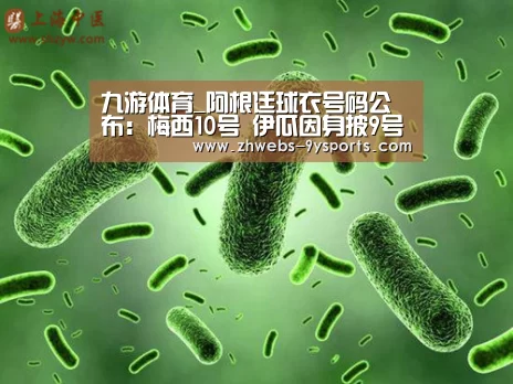 九游体育_阿根廷球衣号码公布:梅西10号 伊瓜因身披9号(图2) 九游体育